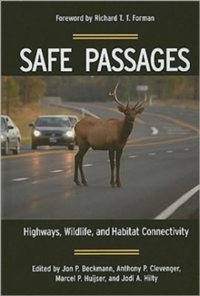 Safe Passages