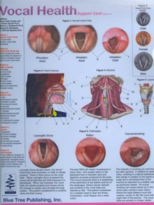 Image for Vocal Health