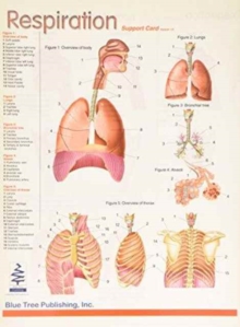 Image for Respiration