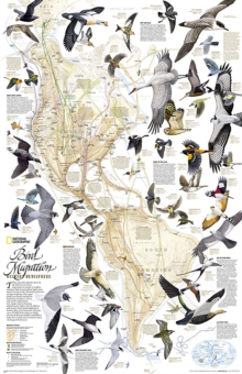 Image for Bird Migration, Western Hemisphere Flat : Wall Maps History & Nature