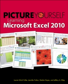 Image for Picture Yourself Learning Microsoft Excel 2010