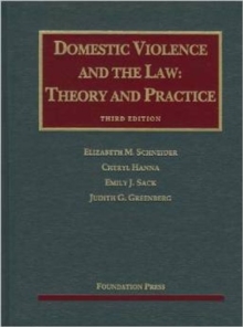Image for Domestic Violence and the Law