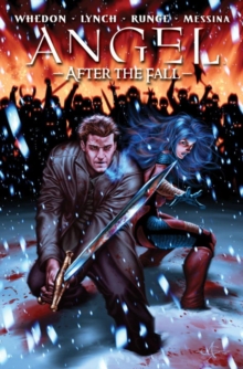 Image for Angel  : after the fallVol. 3