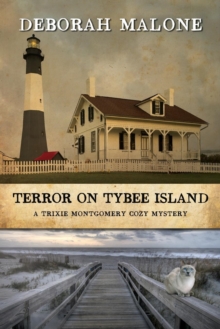 Image for Terror on Tybee Island