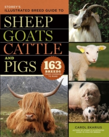Image for Storey's illustrated breed guide to sheep, goats, cattle and pigs  : 163 breeds from common to rare