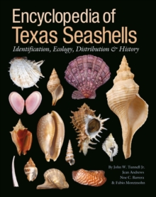 Image for Encyclopedia of Texas Seashells : Identification, Ecology, Distribution, and History