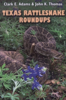 Image for Texas rattlesnake roundups