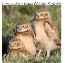 Image for Greg Lasley's Texas wildlife portraits