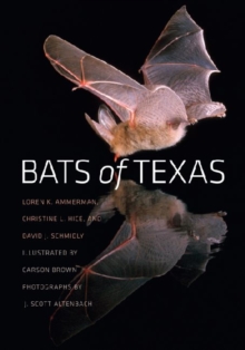 Image for Bats of Texas