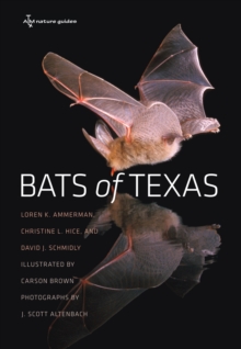Image for Bats of Texas.