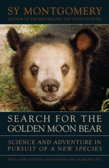 Image for Search for the Golden Moon Bear