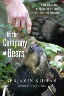 Image for Out on a limb: what black bears taught me about intelligence and intuition