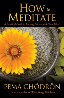 Image for How to meditate  : a practical guide to making friends with your mind