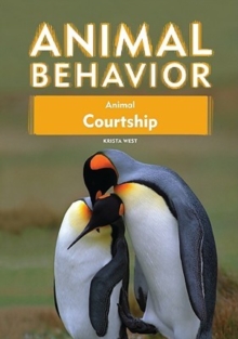 Animal Courtship