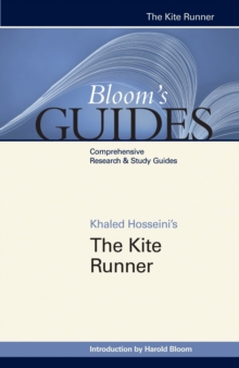 Image for The kite runner