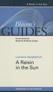 Image for A Raisin in the Sun