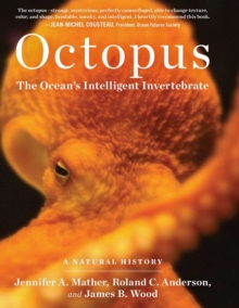 Image for Octopus  : the ocean's intelligent invertebrate