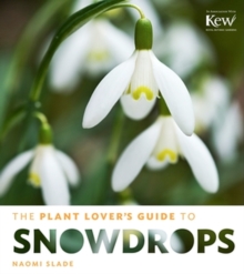 The Plant Lover’s Guide to Snowdrops