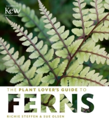 Image for The plant lover's guide to ferns