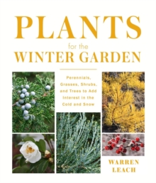 Image for Plants for the Winter Garden : Perennials, Grasses, Shrubs, and Trees to Add Interest in the Cold and Snow