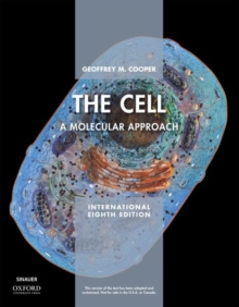 Image for The cell XE  : a molecular approach