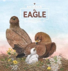 Eagle. Animals in the Wild