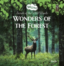 Image for Wonders of the forest  : secrets of the wild woods