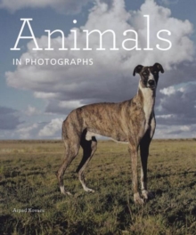 Image for Animals in photographs