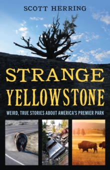 Image for Strange Yellowstone