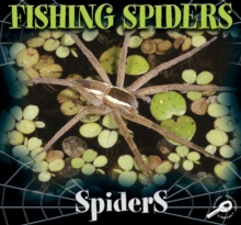 Image for Fishing Spiders