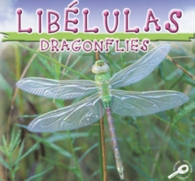 Image for Libelulas