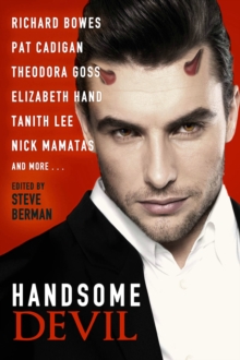 Image for Handsome devil  : stories of sin and seduction
