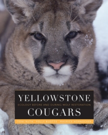 Image for Yellowstone Cougars: Ecology Before and During Wolf Restoration