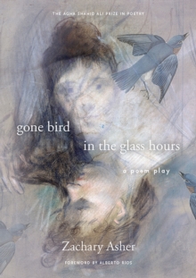 Image for gone bird in the glass hours : a poem play
