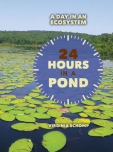 Image for 24 Hours in a Pond