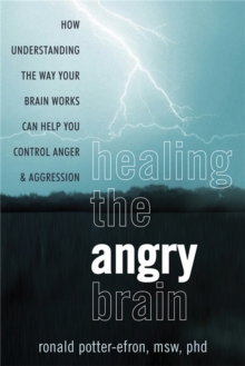 Image for Calming the angry brain  : how understanding the way your brain works can help you control anger and aggression