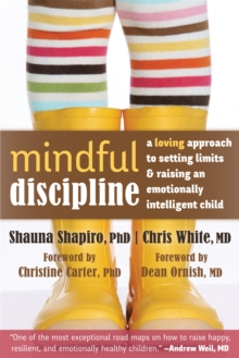 Image for Mindful Discipline