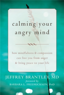 Image for Calming Your Angry Mind