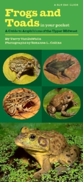 Image for Frogs and Toads in Your Pocket : A Guide to Amphibians of the Upper Midwest