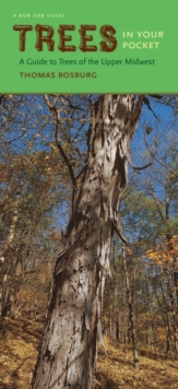 Image for Trees in Your Pocket: A Guide to Trees of the Upper Midwest