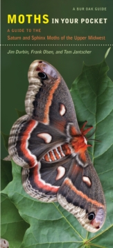 Image for Moths in Your Pocket: A Guide to the Saturn and Sphinx Moths of the Upper Midwest