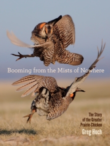 Image for Booming from the Mists of Nowhere: The Story of the Greater Prairie-Chicken