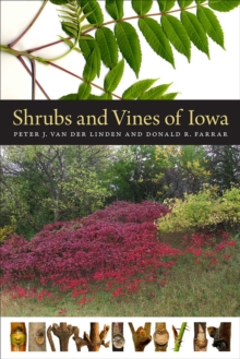 Image for Shrubs and Vines of Iowa