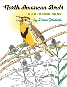 Image for North American Birds : A Coloring Book