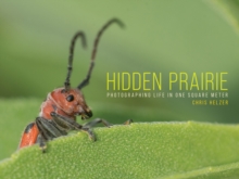 Image for Hidden Prairie : Photographing Life in One Meter