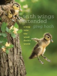 Image for With Wings Extended : A Leap into the Wood Duck's World