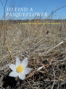 Image for To find a pasqueflower  : a story of the tallgrass prairie