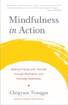 Mindfulness in Action: Making Friends with Yourself through Meditation and Everyday Awareness