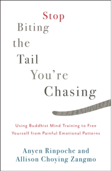 Image for Stop Biting the Tail You're Chasing : Using Buddhist Mind Training to Free Yourself from Painful Emotional Patterns