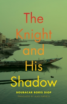 Knight and His Shadow
